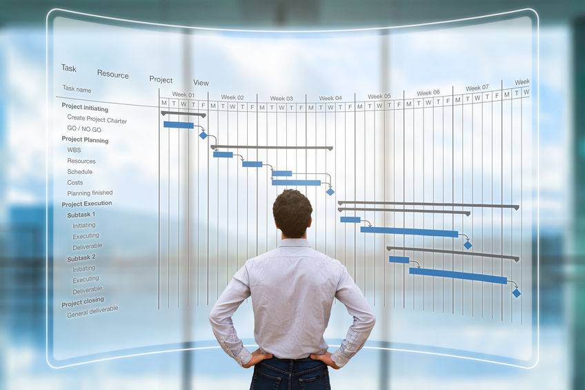 Project Manager looking at gandt chart